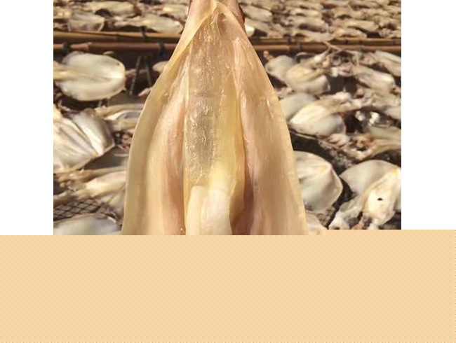 魷魚母干